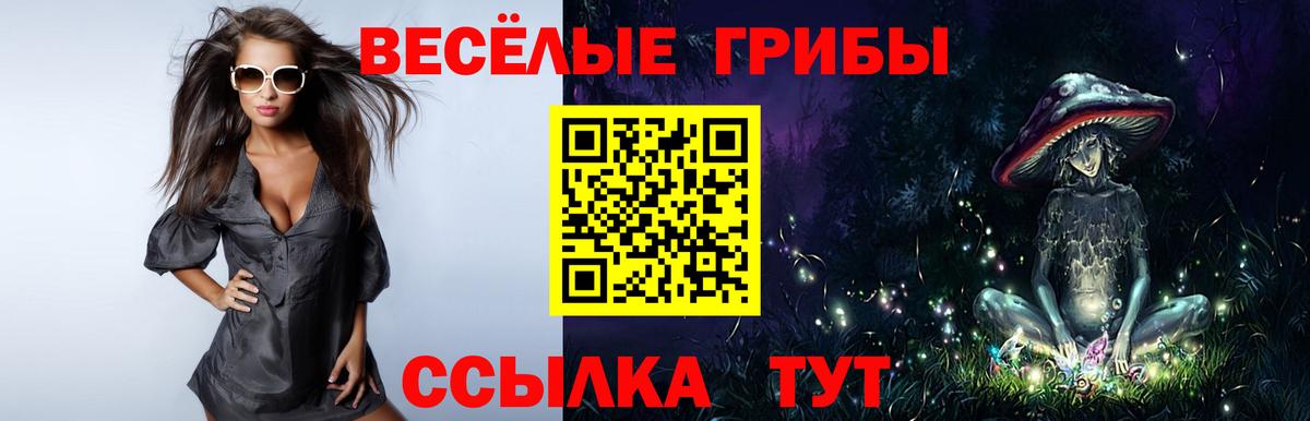 Галлюциногенные грибы прущие грибы  купить  цена  Наро-Фоминск  Вход с VPN  Галлюциногенные грибы Psilocybine cubensis 